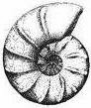 ceratit 1